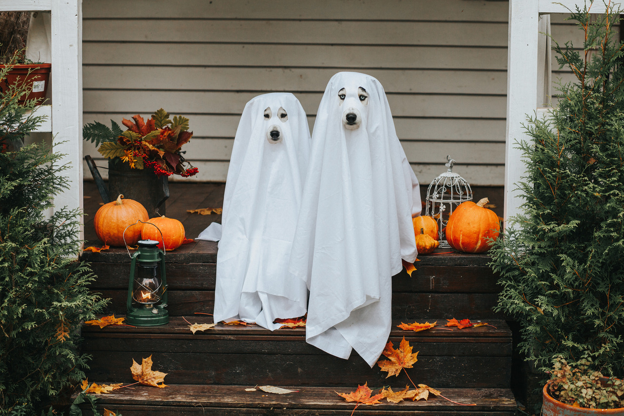 Origem e Celebração do Halloween: Uma Tradição Global de Arrepiar
