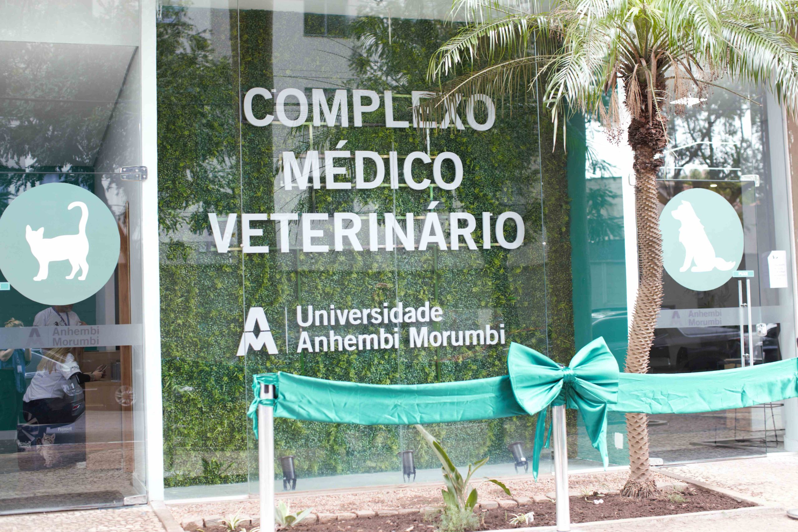 Inovação e crescimento: Centro Médico Veterinário da Anhembi Morumbi registra 10 mil atendimentos em 2024